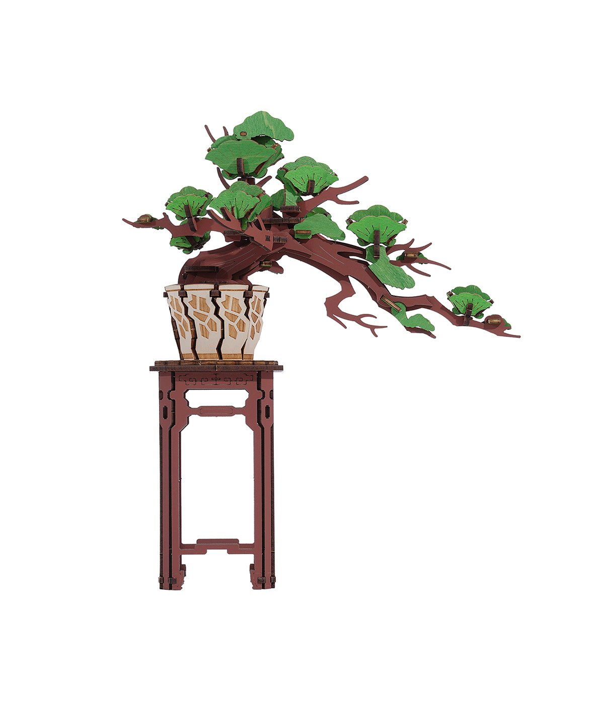 Örökzöld fenyő bonsai - 3D fa puzzle - Makett Kuckó