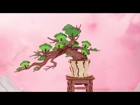 Örökzöld fenyő bonsai - 3D fa puzzle