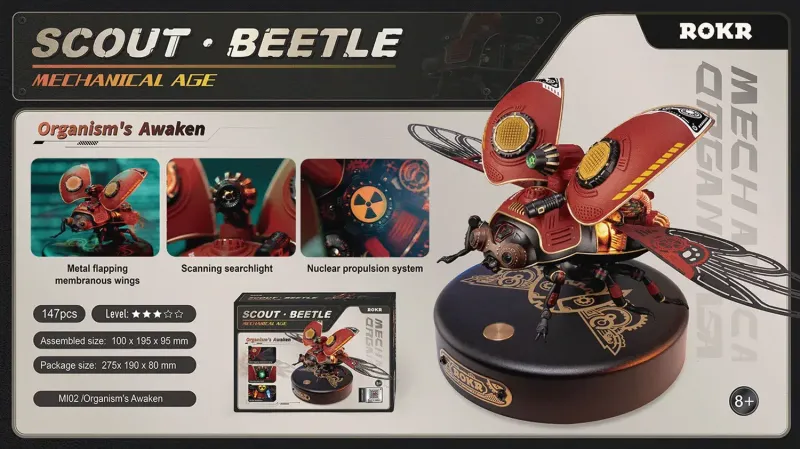 beetle