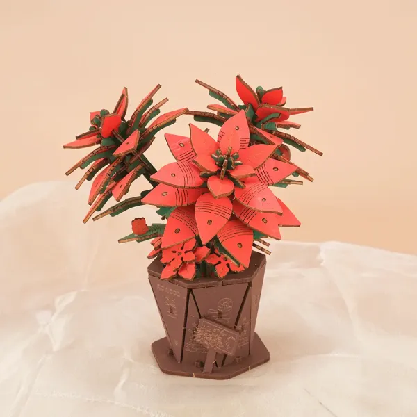 poinsettia1