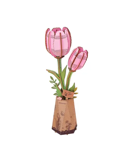 tulipan tulipan